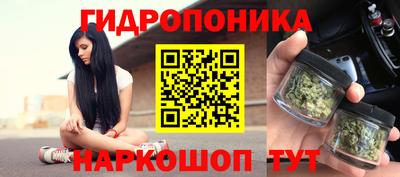 дживик Сланцы