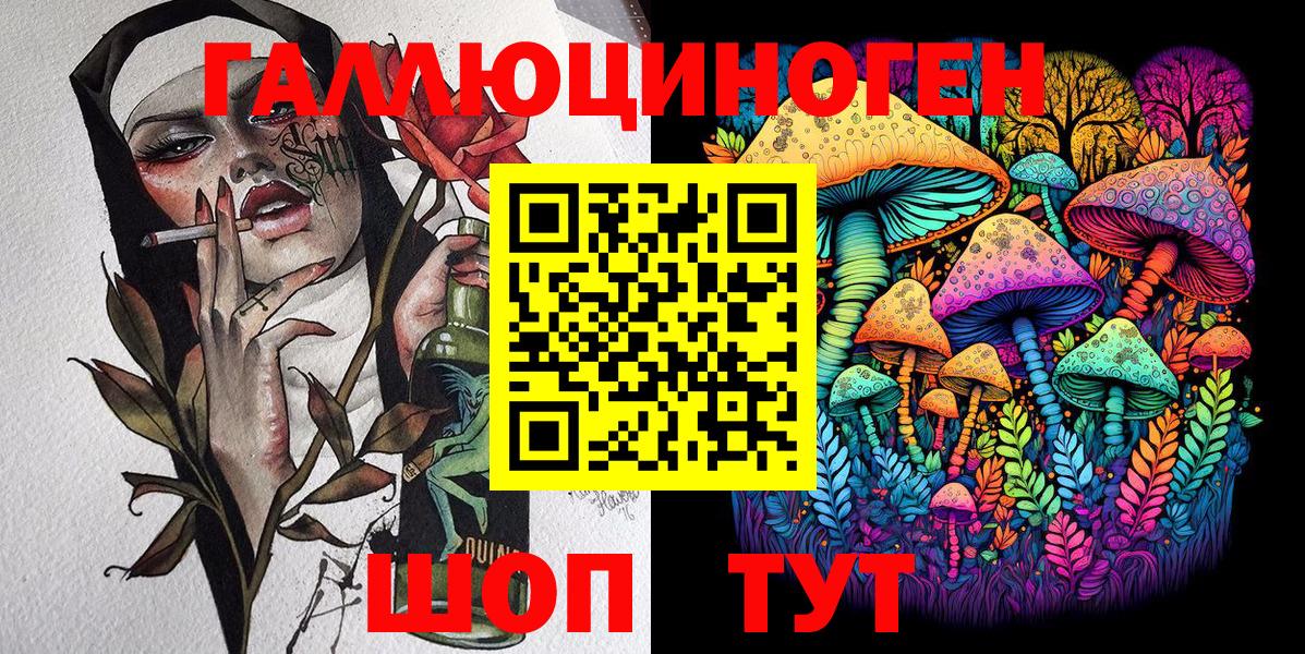 Галлюциногенные грибы Psilocybine cubensis  Вход с VPN  Нарткала  Галлюциногенные грибы Cubensis 